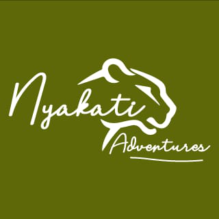 Nyakati Adventure Logo