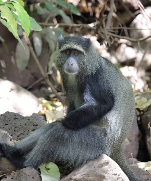 Lake Manyara National Park