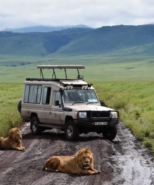 Ngorongoro Crater