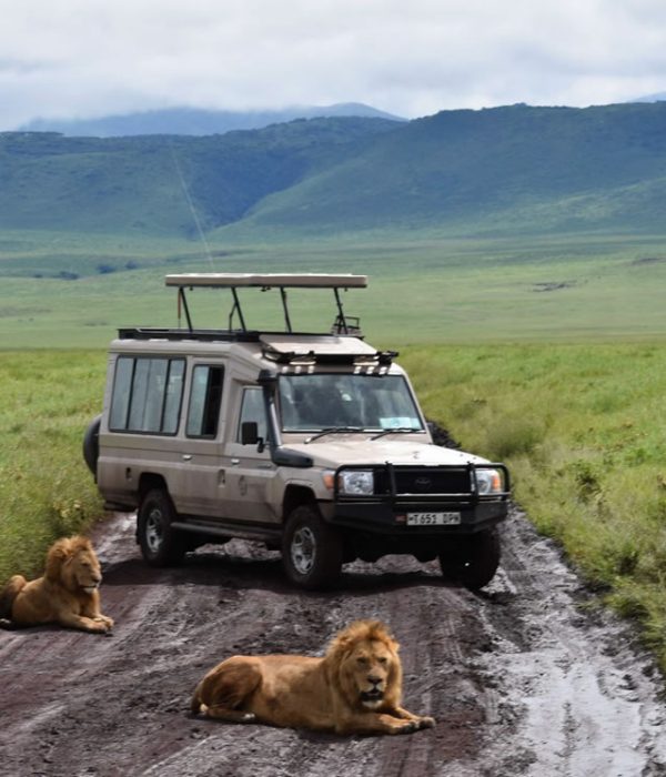 ngorongoro