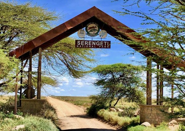 we-discover-the-endless-vastness-of-the-serengeti-national-park-09