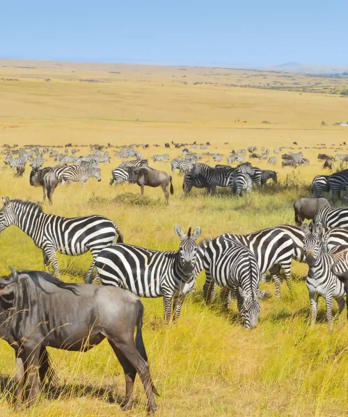 Serengeti National Park