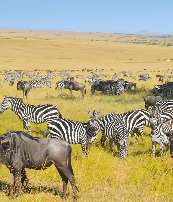 when-to-visit-serengeti-national-park-1